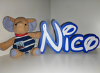 Personalisiertes Namensschild im Disney Style – 3D Türschild & Aufsteller