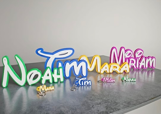 Personalisiertes Namensschild im Disney Style – 3D Türschild & Aufsteller