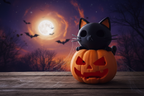 Katze im Kürbis – Vollmond