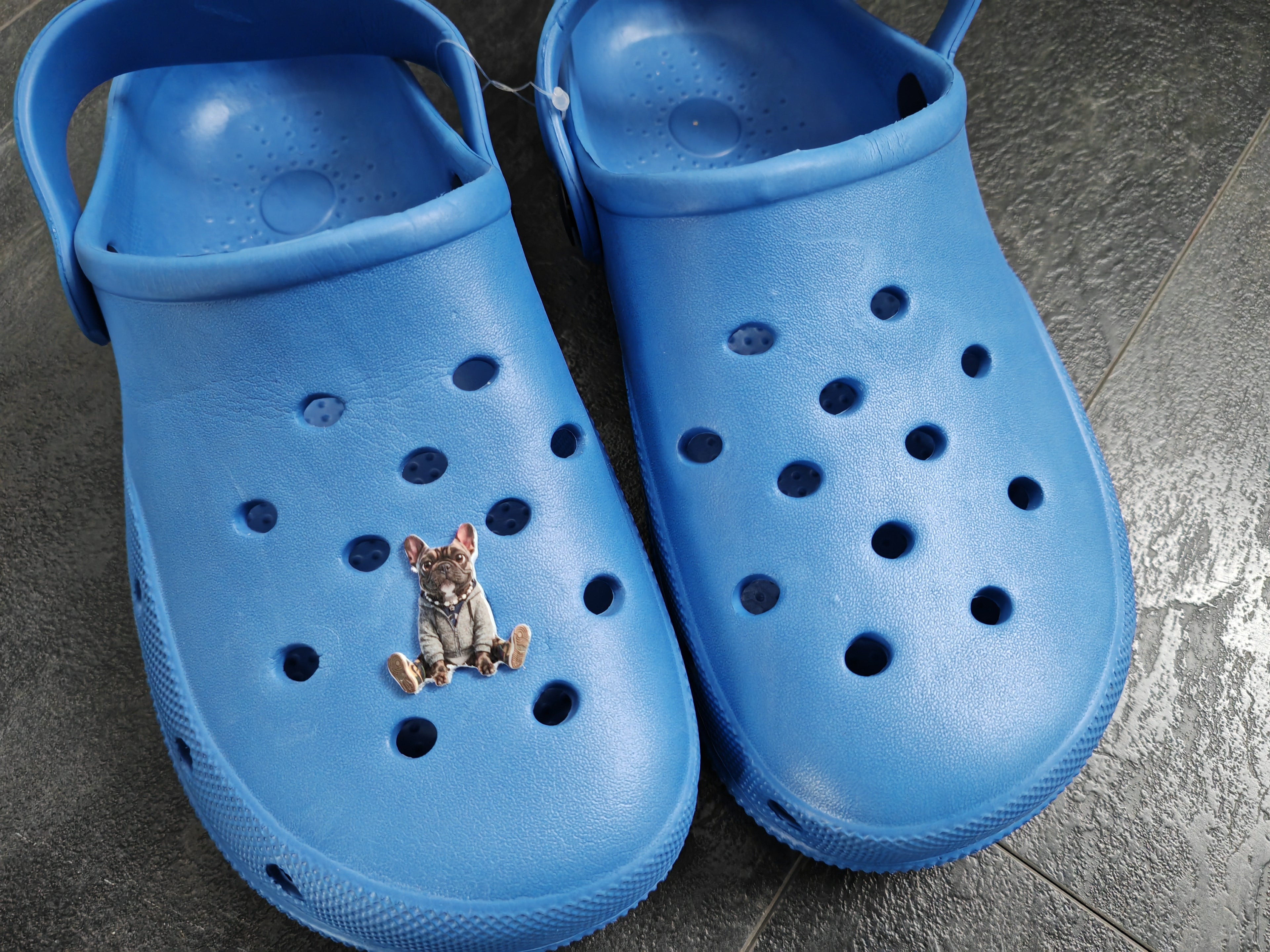 " Bei Fuß Otto !!! ".. oder am Fuß? - Der Croc Pin