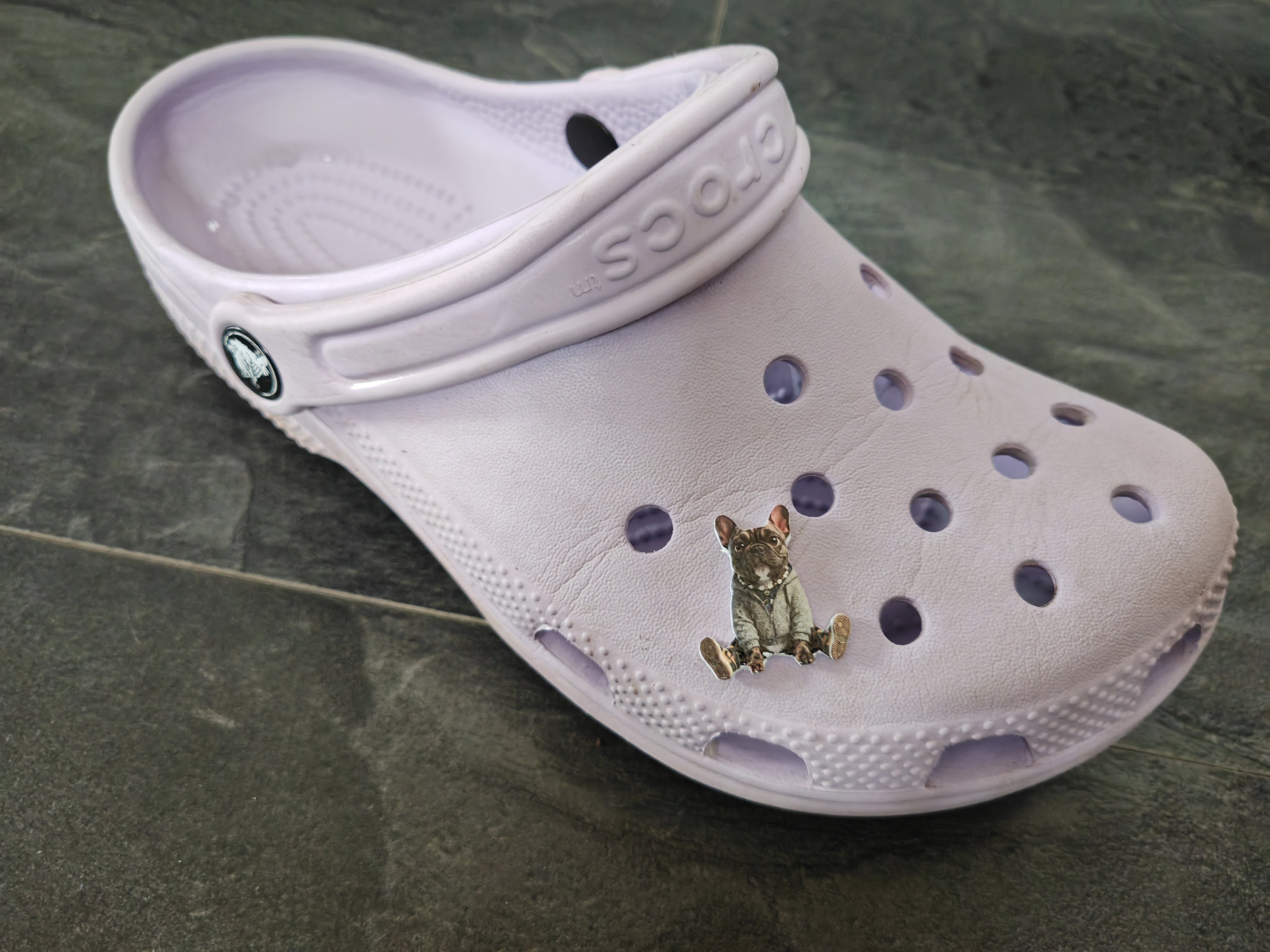 " Bei Fuß Otto !!! ".. oder am Fuß? - Der Croc Pin